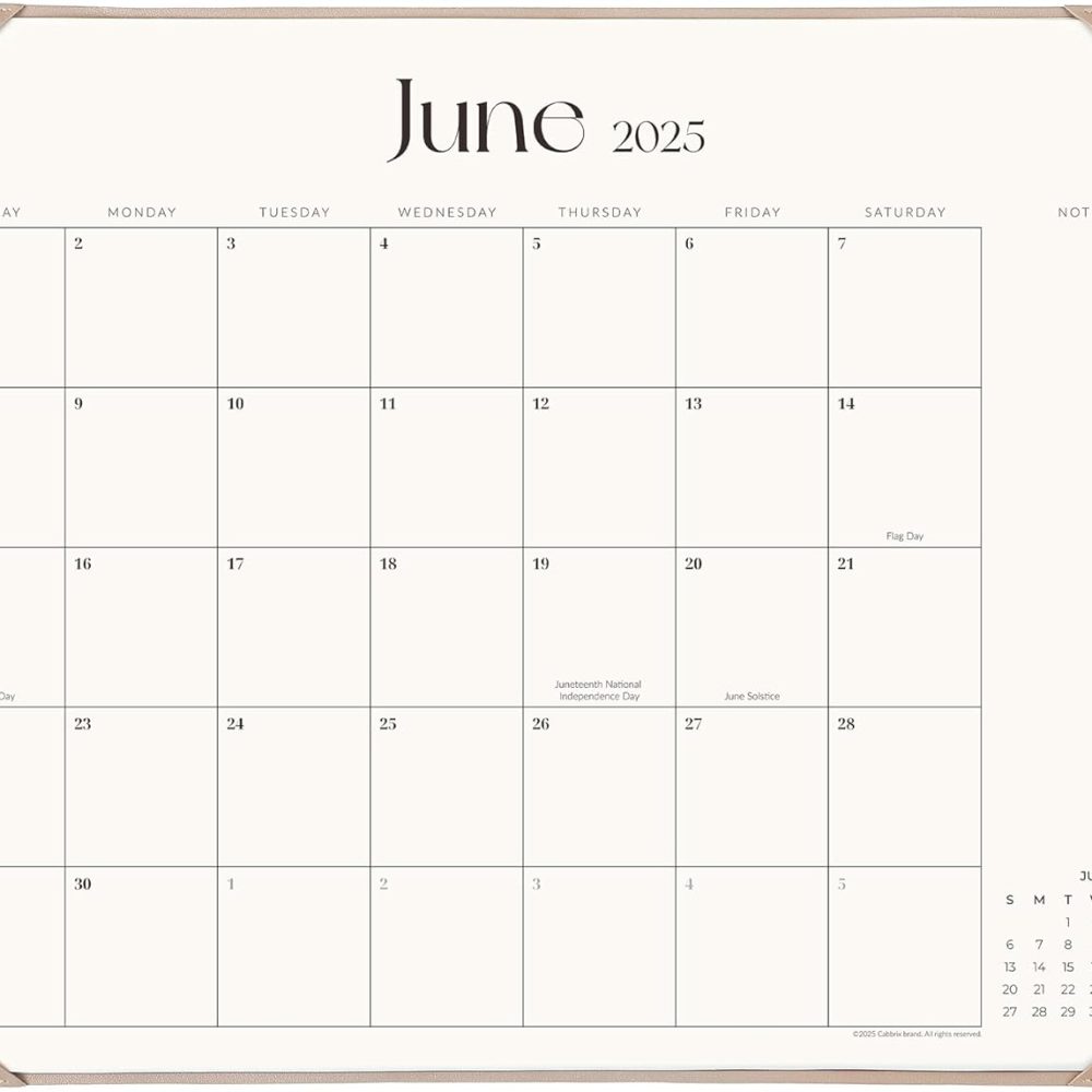Simplified Desk Calendar 2025-2026 with Desktop Mat, Cabbrix Large Desk Pad Calendar 21" x 16-1/2" Inch Runs From January 2025 to June 2026, Desk Blotter Calendar for Home School and Office (Apricot)
